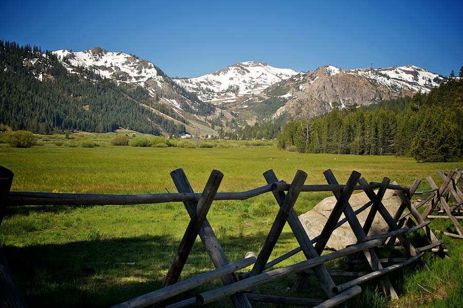 Olympic Valley meadow